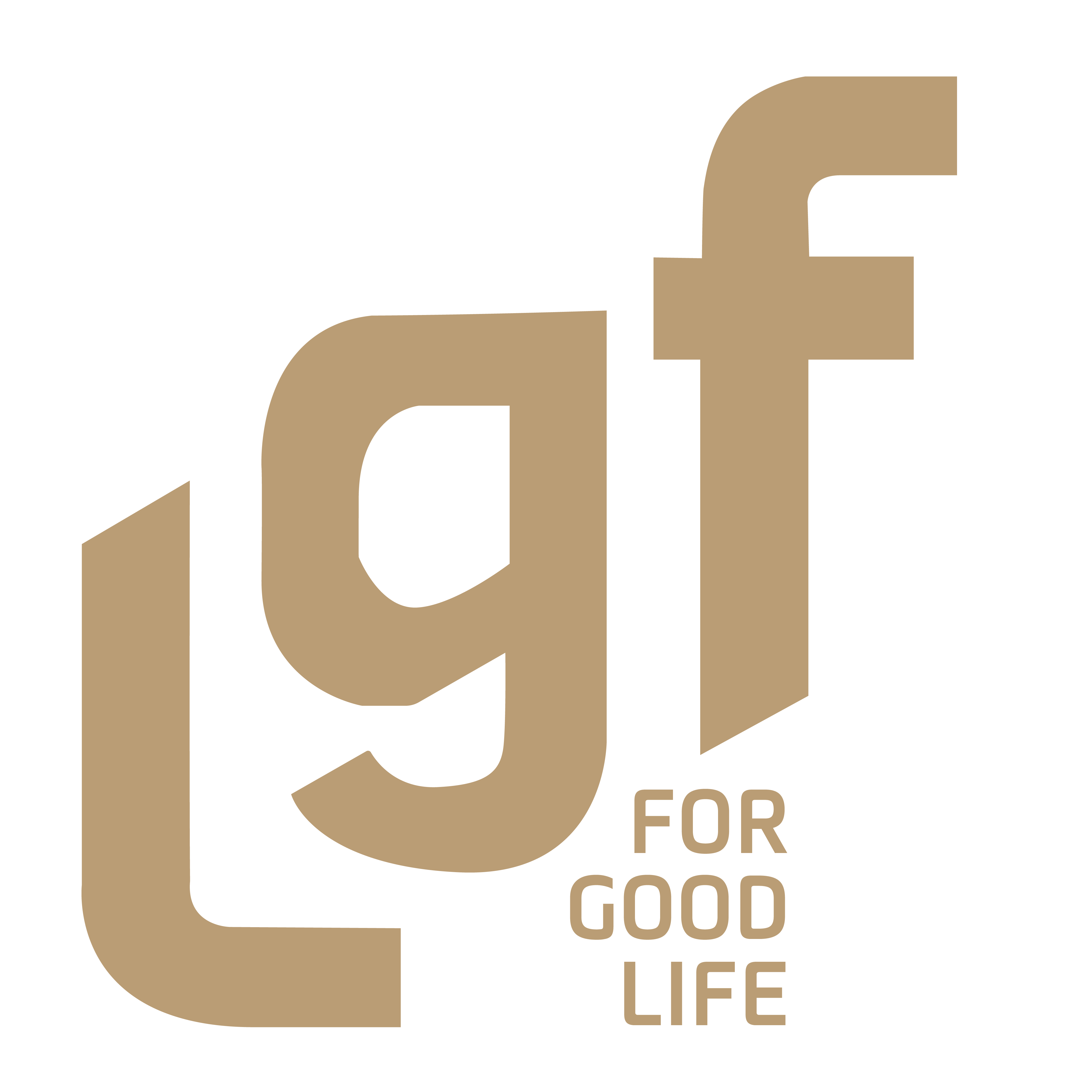 Công ty TNHH LGF Việt Nam